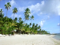 sex on the beach.jpg